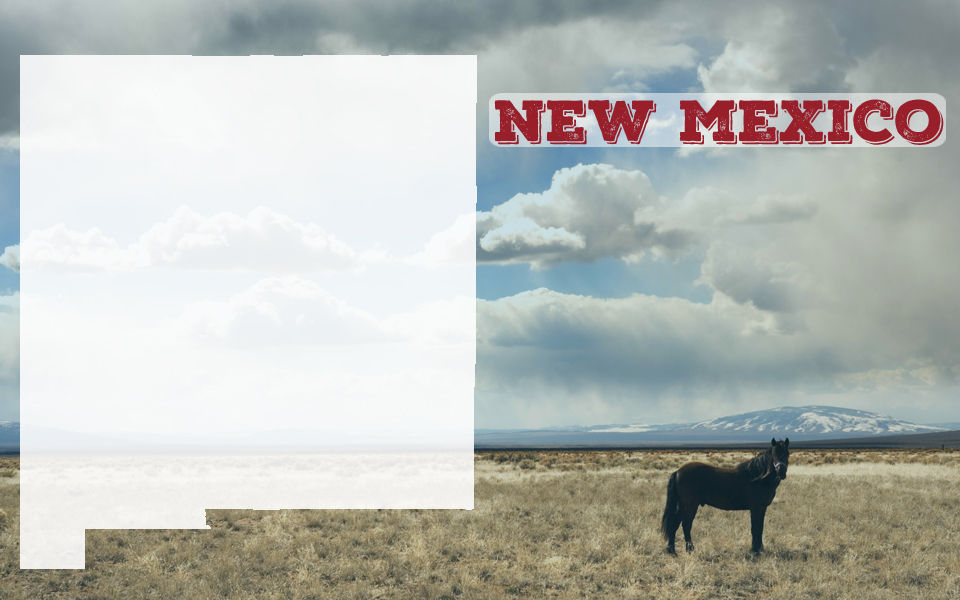 4. New Mexico